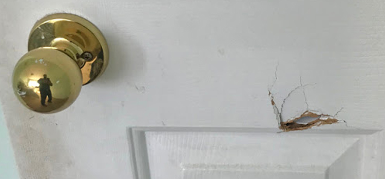 interior door hole repair West Melbourne