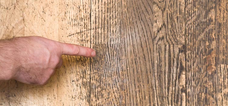 Wood Door Scratch Repair in West Melbourne